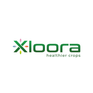 XLOORA